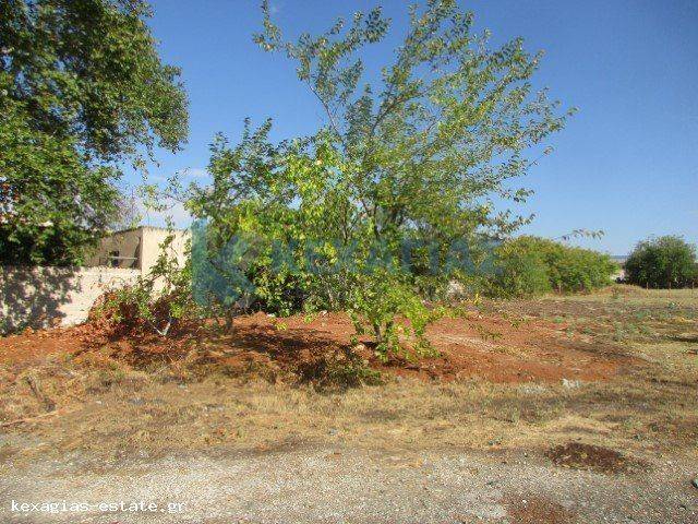 ΕΞΩΤΕΡΙΚΗ ΛΗΨΗ