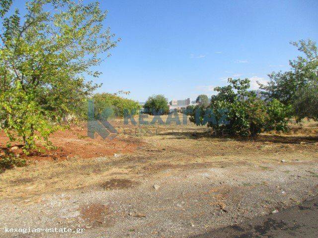 ΕΞΩΤΕΡΙΚΗ ΛΗΨΗ