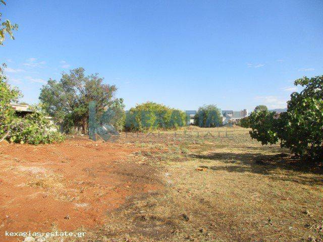 ΕΞΩΤΕΡΙΚΗ ΛΗΨΗ