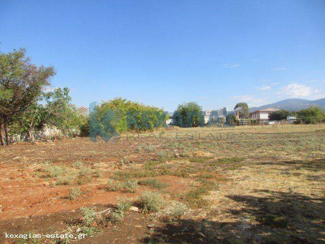 ΕΞΩΤΕΡΙΚΗ ΛΗΨΗ