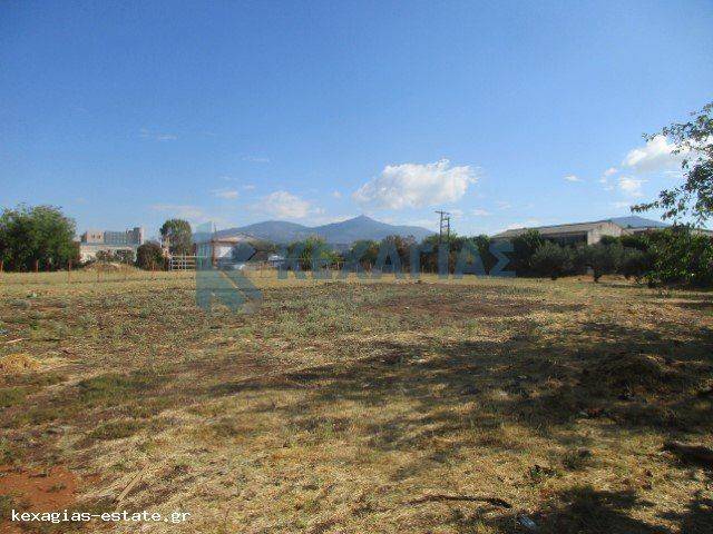 ΕΞΩΤΕΡΙΚΗ ΛΗΨΗ