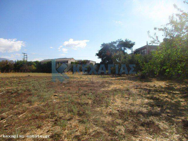 ΕΞΩΤΕΡΙΚΗ ΛΗΨΗ