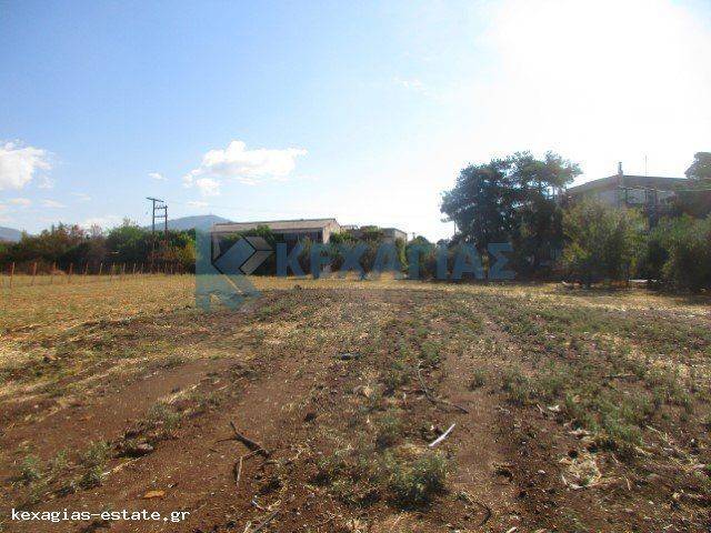 ΕΞΩΤΕΡΙΚΗ ΛΗΨΗ