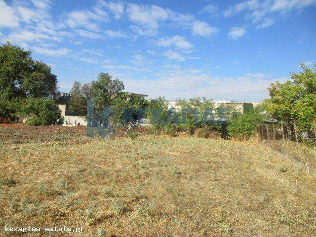 ΕΞΩΤΕΡΙΚΗ ΛΗΨΗ