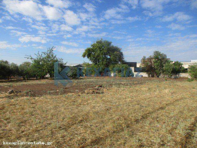 ΕΞΩΤΕΡΙΚΗ ΛΗΨΗ