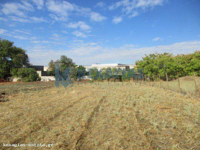 ΕΞΩΤΕΡΙΚΗ ΛΗΨΗ