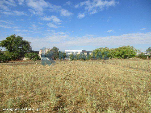 ΕΞΩΤΕΡΙΚΗ ΛΗΨΗ