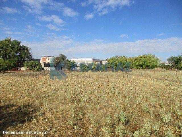 ΕΞΩΤΕΡΙΚΗ ΛΗΨΗ