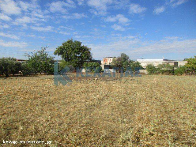 ΕΞΩΤΕΡΙΚΗ ΛΗΨΗ