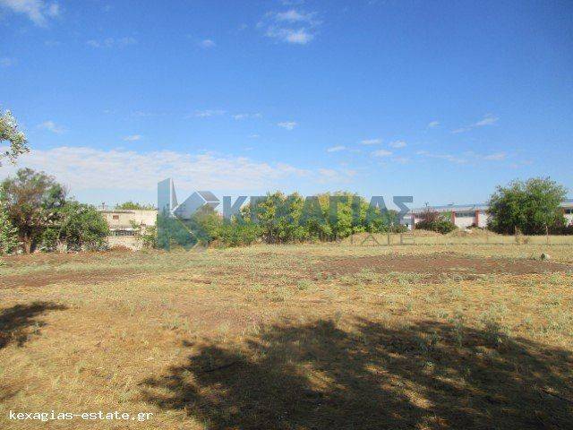 ΕΞΩΤΕΡΙΚΗ ΛΗΨΗ