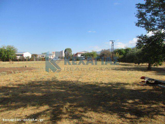 ΕΞΩΤΕΡΙΚΗ ΛΗΨΗ