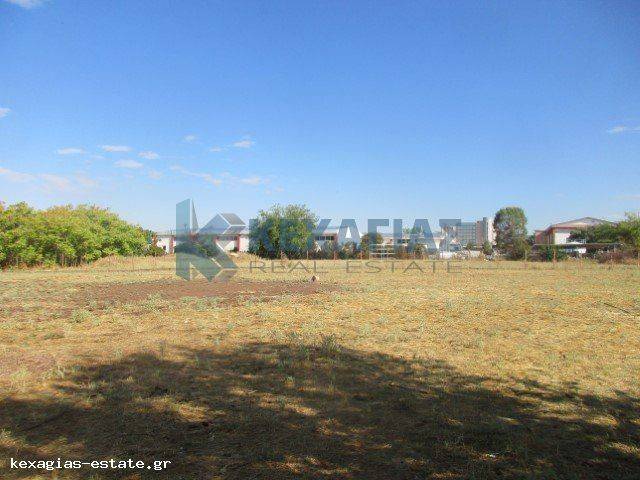 ΕΞΩΤΕΡΙΚΗ ΛΗΨΗ