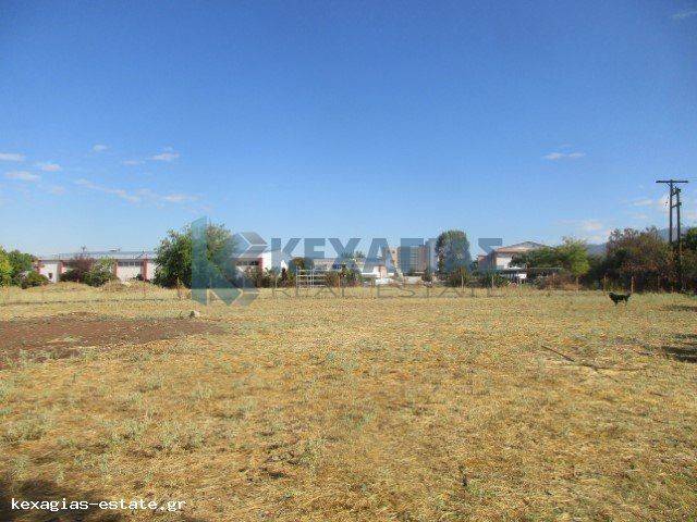 ΕΞΩΤΕΡΙΚΗ ΛΗΨΗ