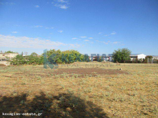 ΕΞΩΤΕΡΙΚΗ ΛΗΨΗ