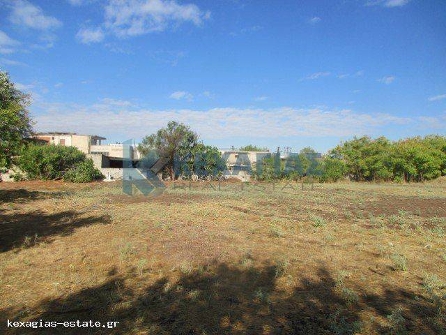 ΕΞΩΤΕΡΙΚΗ ΛΗΨΗ