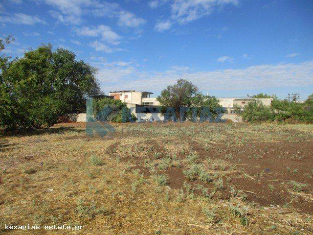 ΕΞΩΤΕΡΙΚΗ ΛΗΨΗ