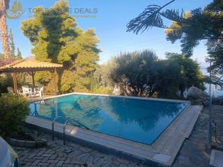 kioski pisinas -pisina-ntoys