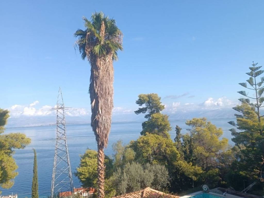 Emikyklikos choros bbq ,kioski pisina-thea thalassa