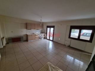 Σαλοκουζίνα