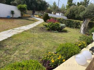 Κήπος εισόδου