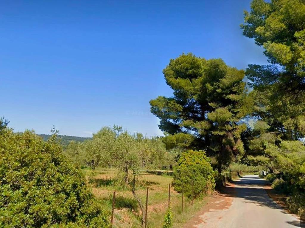 Road in front of the plot