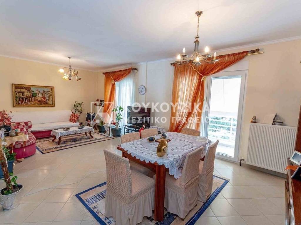 Σαλοκουζίνα