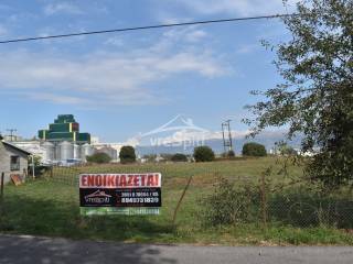 ΑΠΟΨΗ ΑΓΡΟΤΕΜΑΧΙΟΥ