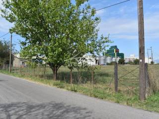 ΑΠΟΨΗ ΑΓΡΟΤΕΜΑΧΙΟΥ