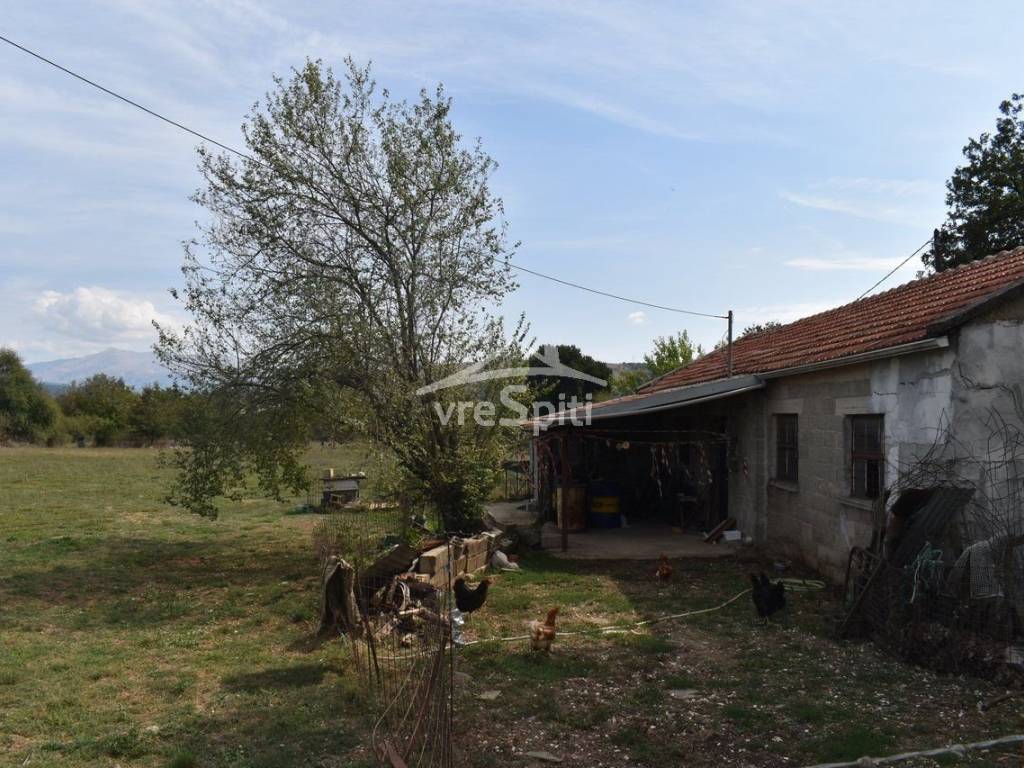 ΑΠΟΨΗ ΑΓΡΟΤΕΜΑΧΙΟΥ