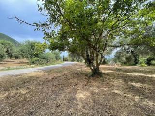 Plot - Grekodom 59779|873577