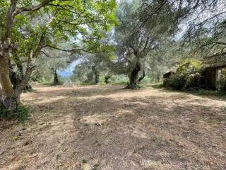 Plot - Grekodom 59779|873578