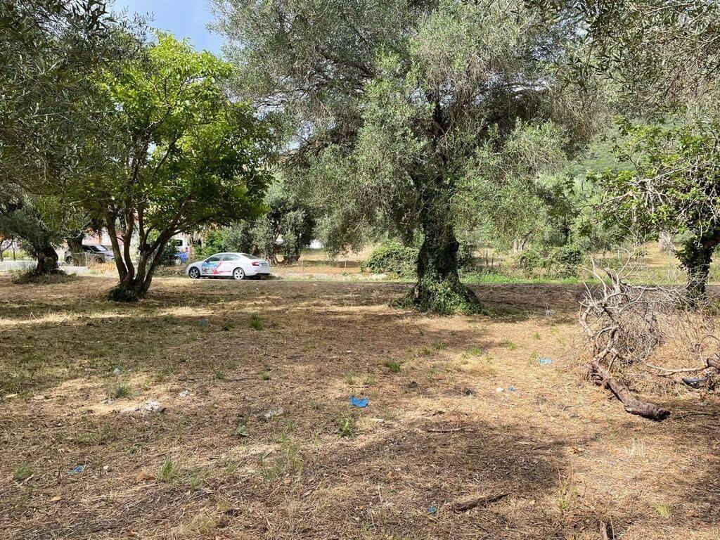 Plot - Grekodom 59779|873580