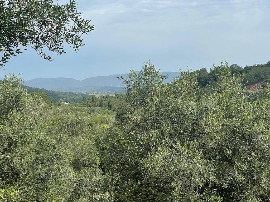 Plot - Grekodom 59779|873581