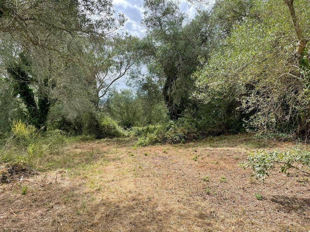 Plot - Grekodom 59779|873582