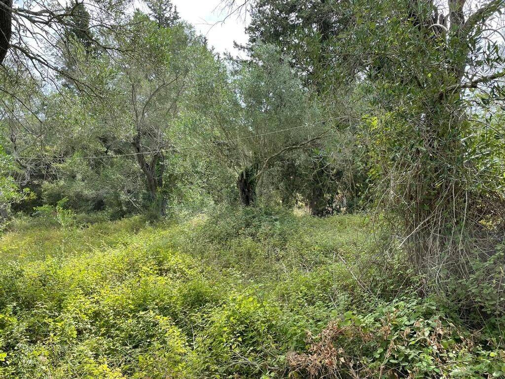 Plot - Grekodom 59779|873583