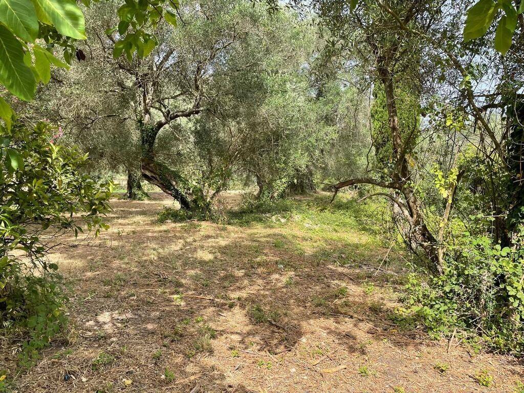 Plot - Grekodom 59779|873584