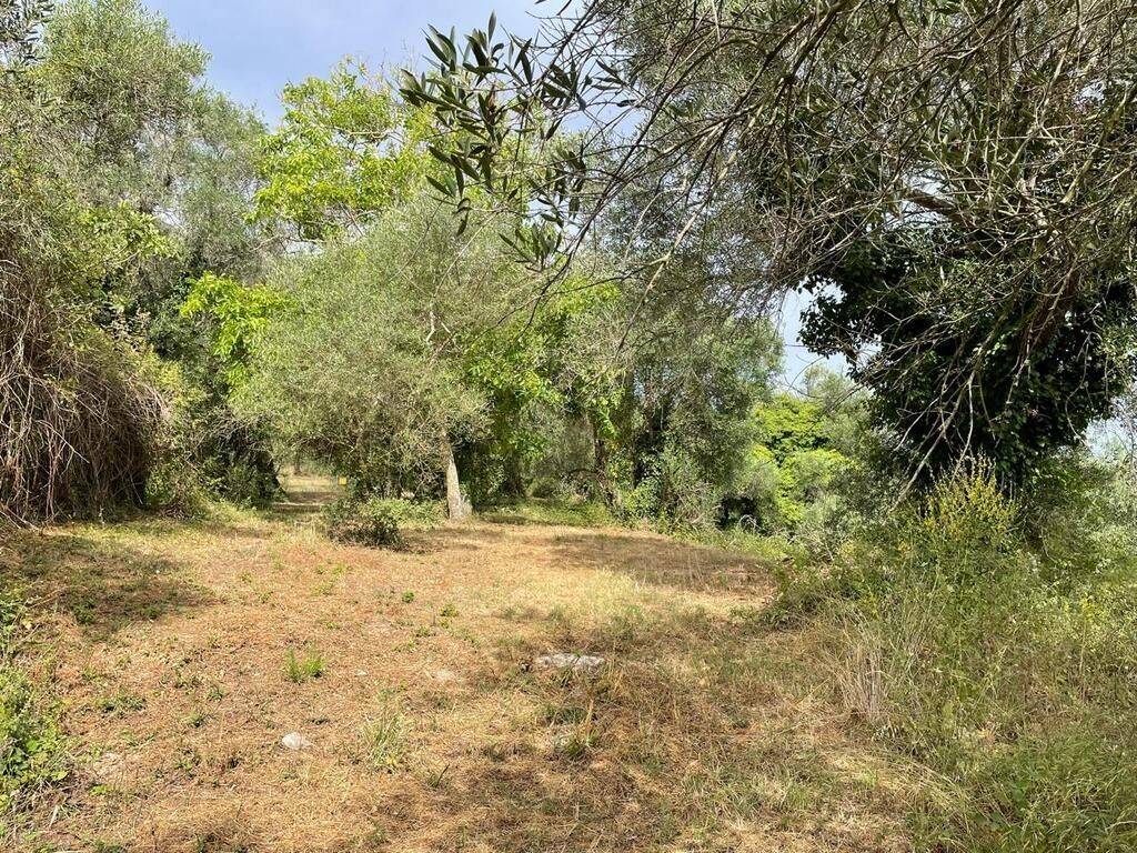 Plot - Grekodom 59779|873585