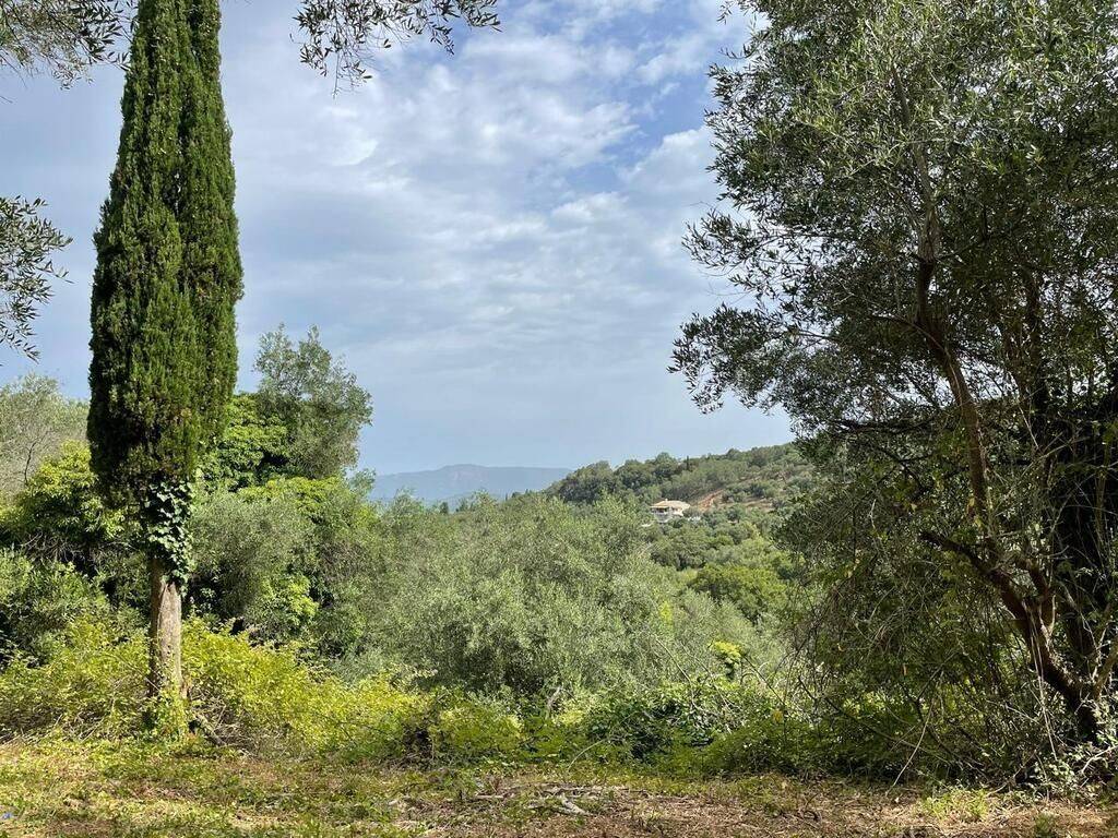 Plot - Grekodom 59779|873586