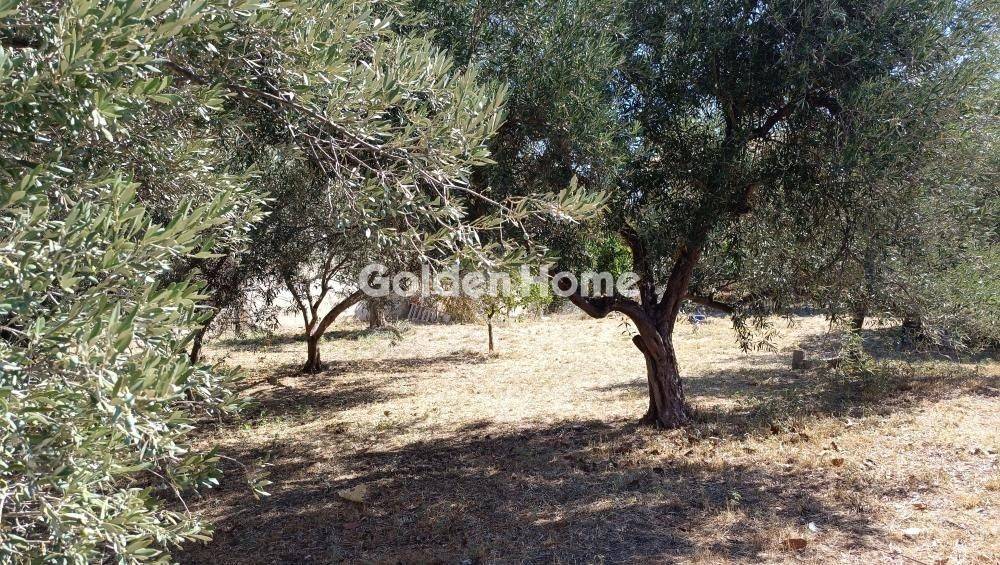 Εξωτερικός Χώρος