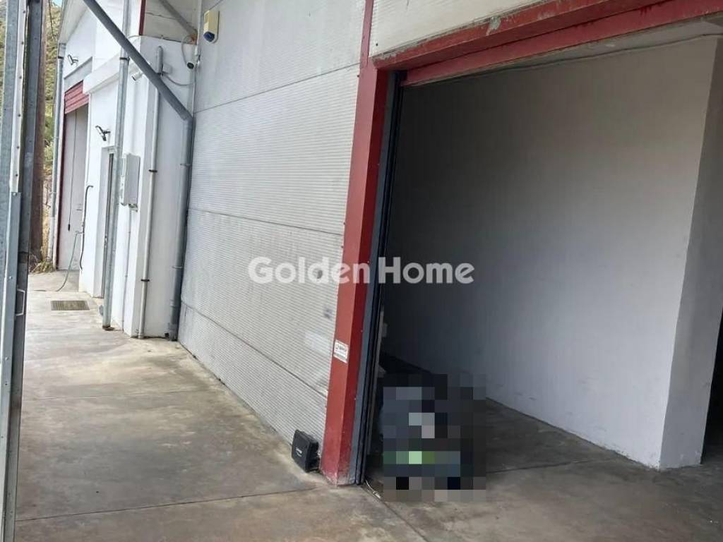 Κυρίως Χώρος