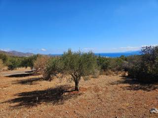 Plot - Grekodom 64280|1015045