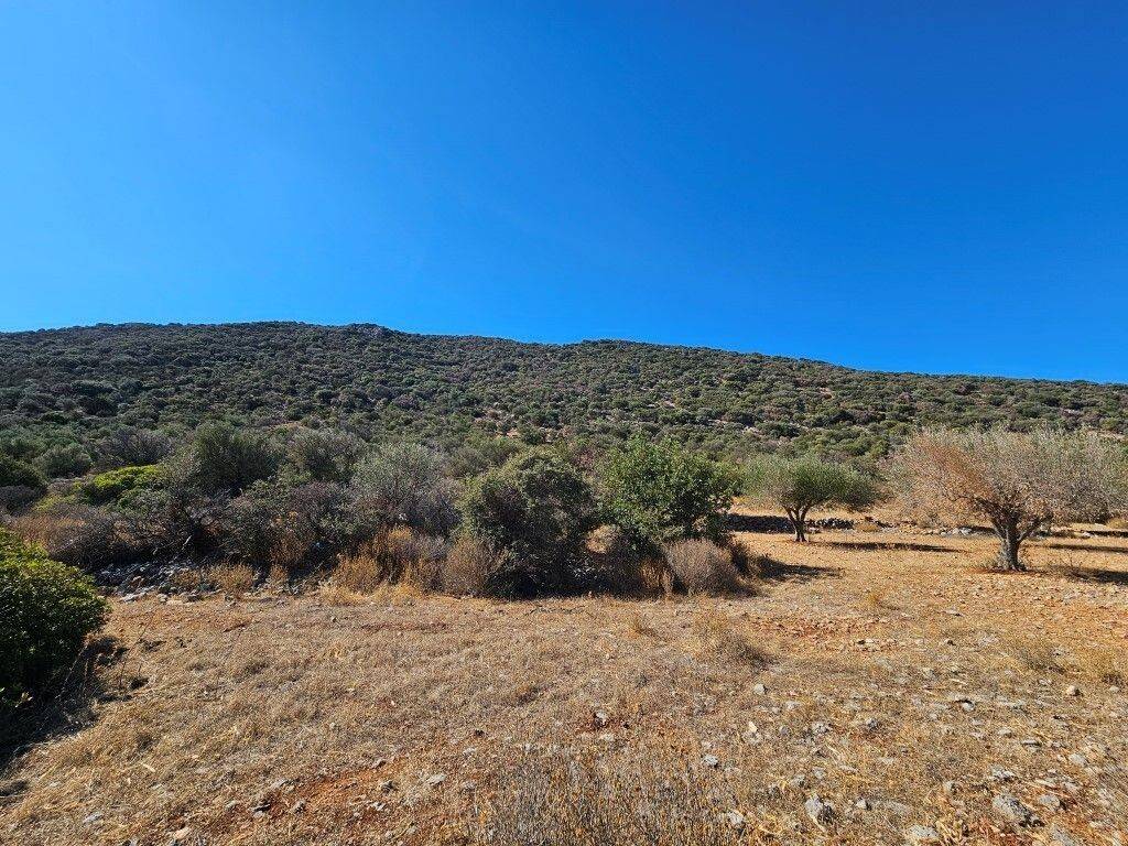 Plot - Grekodom 64280|1015047