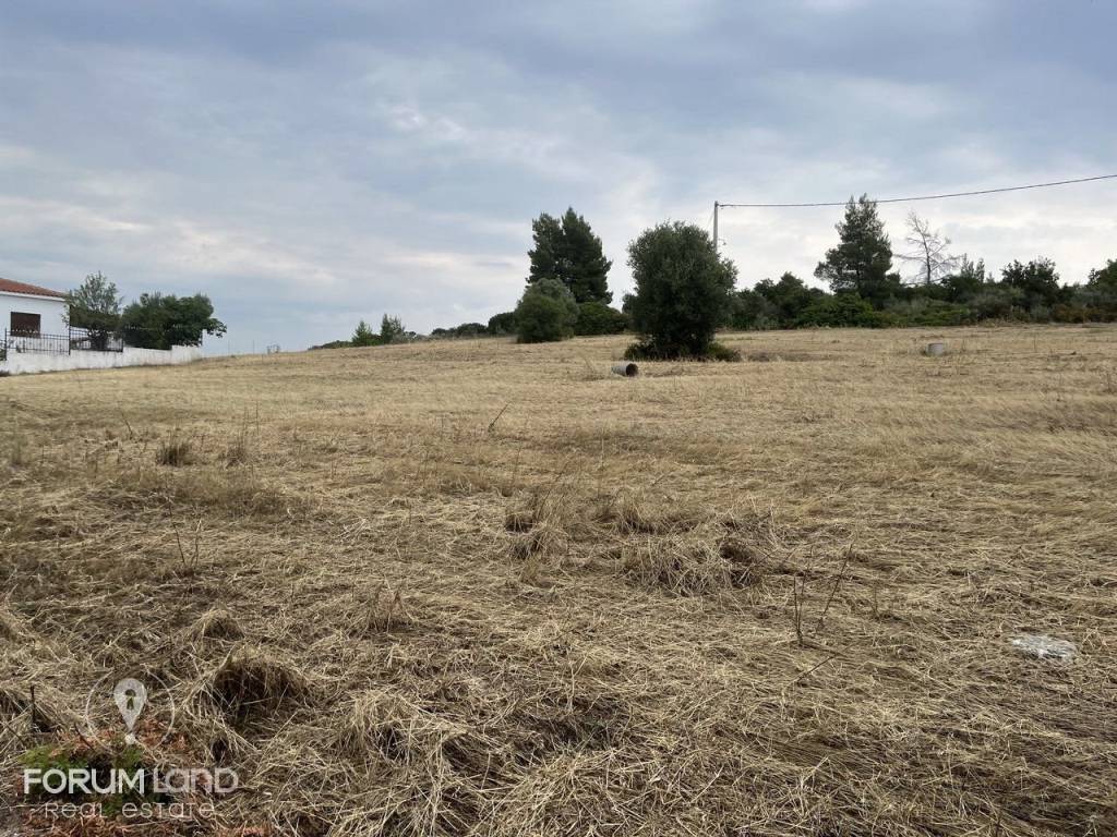 Forumland Real Estate, Οικόπεδο 480τ.μ.