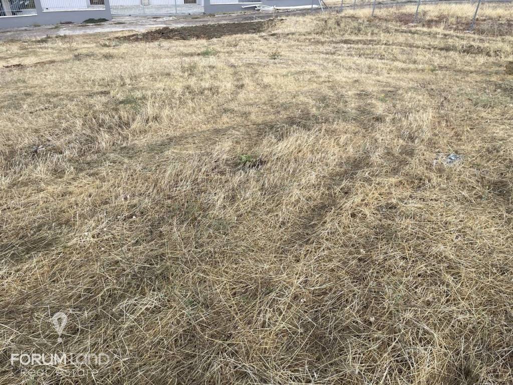 Forumland Real Estate, Οικόπεδο 480τ.μ.