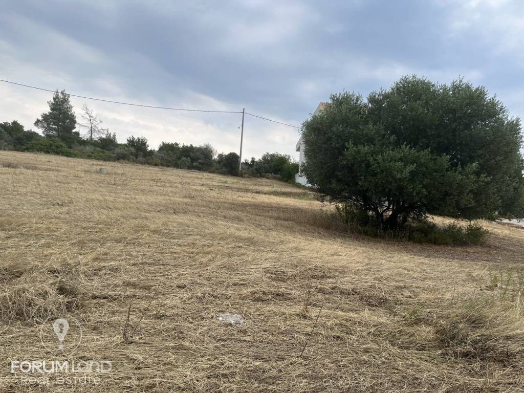 Forumland Real Estate, Οικόπεδο 480τ.μ.