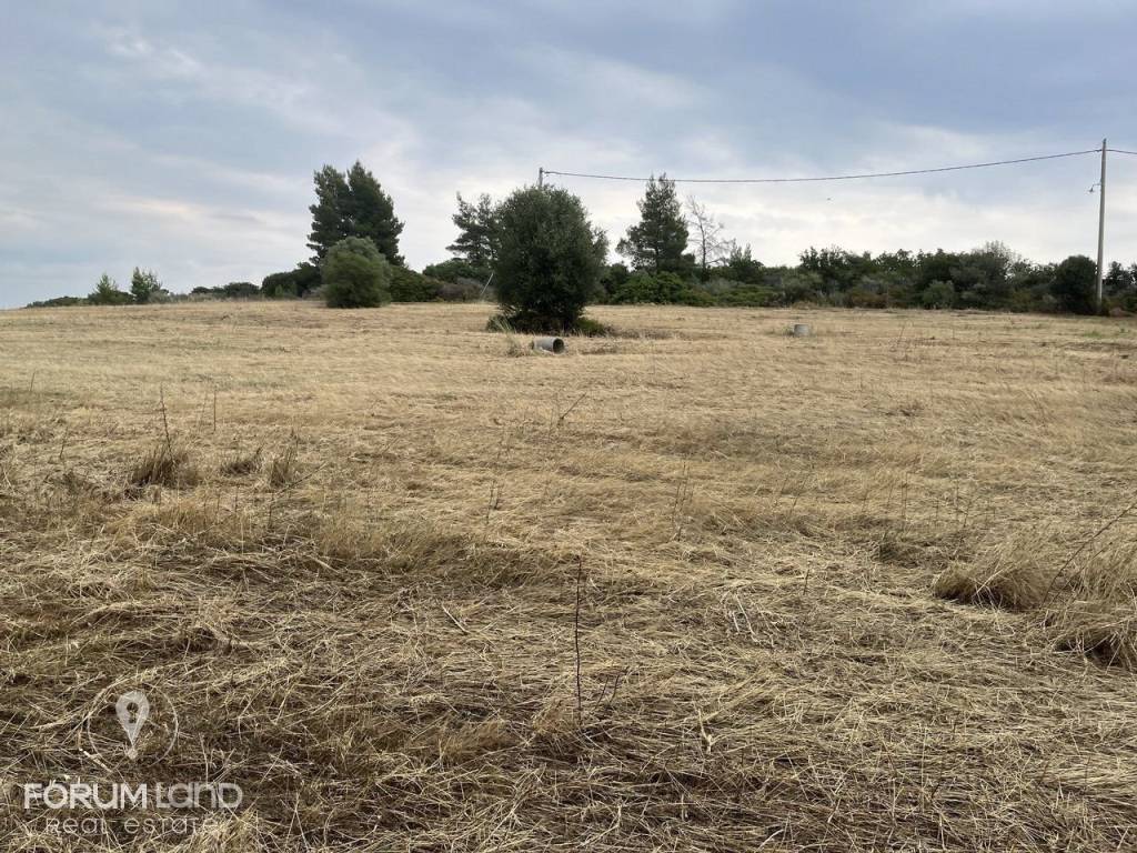 Forumland Real Estate, Οικόπεδο 480τ.μ.