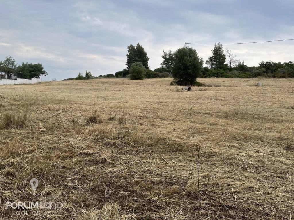 Forumland Real Estate, Οικόπεδο 480τ.μ.