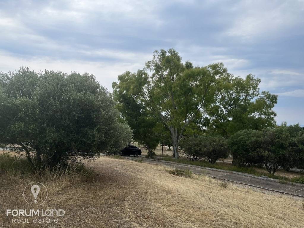 Forumland Real Estate, Οικόπεδο 480τ.μ.