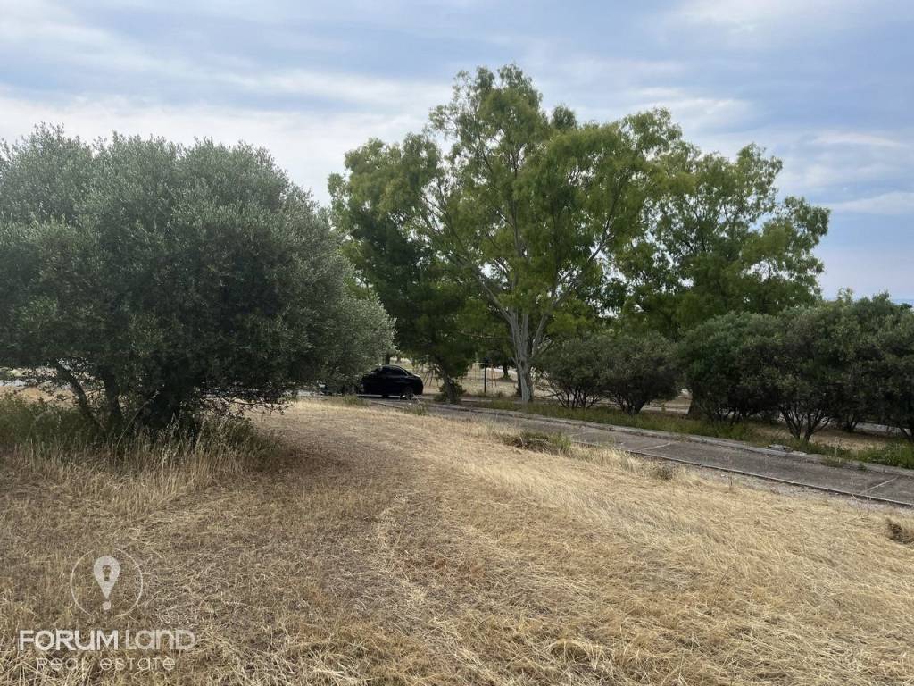 Forumland Real Estate, Οικόπεδο 480τ.μ.