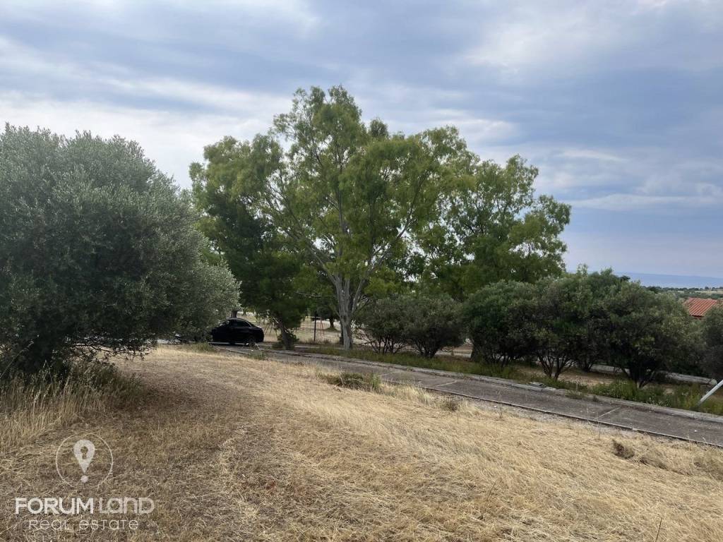 Forumland Real Estate, Οικόπεδο 480τ.μ.